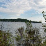 Free Resource Library