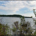 Free Resource Library