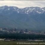 Free Resource Library