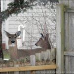 Free Resource Library